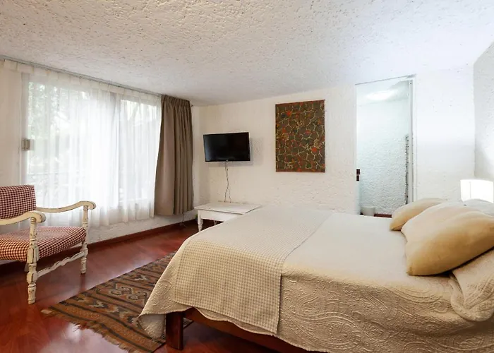 2b, Vista, Garden House, Welcome To San Angel *