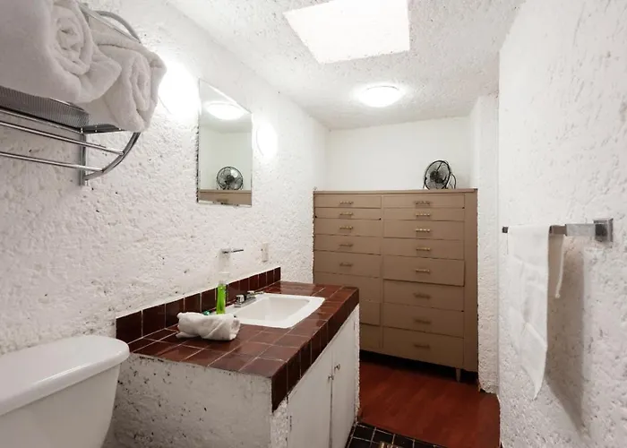 Apartment 2b, Vista, Garden House, Welcome To San Angel Mexico City