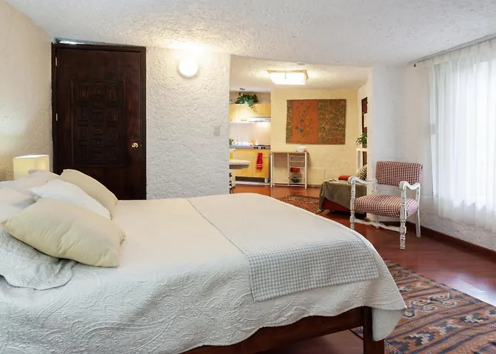 2b, Vista, Garden House, Welcome To San Angel Apartment *