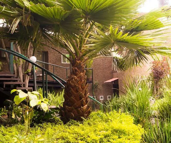 Apartment 2b, Vista, Garden House, Welcome To San Angel