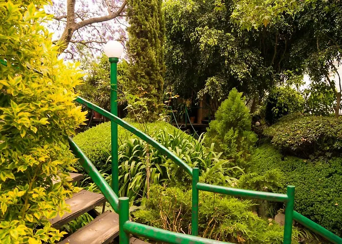 2b, Vista, Garden House, Welcome To San Angel Apartment