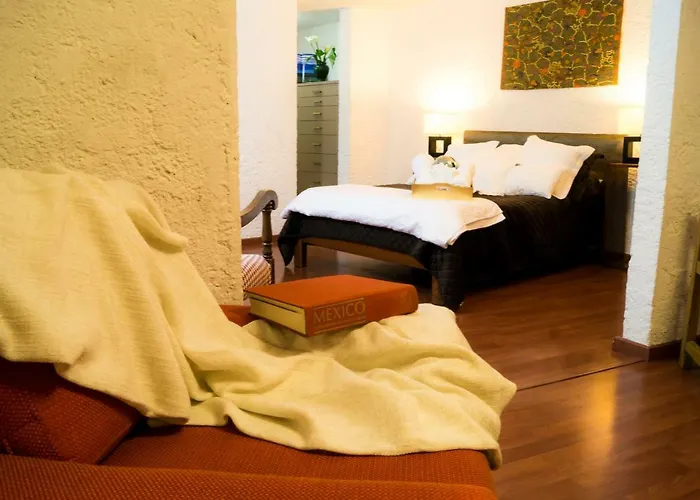 2b, Vista, Garden House, Welcome To San Angel Mexico City