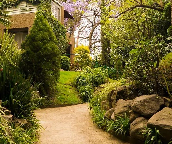 Apartment 2b, Vista, Garden House, Welcome To San Angel Mexico City
