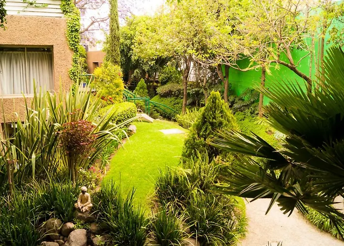 2b, Vista, Garden House, Welcome To San Angel Mexico City