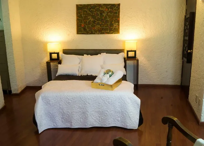 2b, Vista, Garden House, Welcome To San Angel Apartment Mexico City