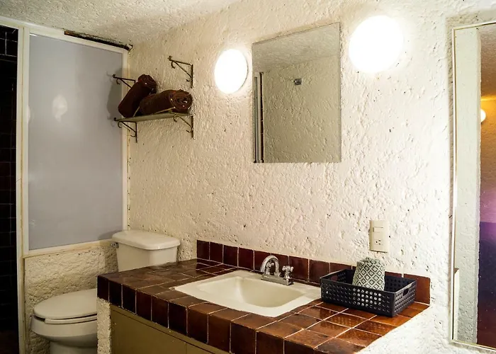 Apartment 2b, Vista, Garden House, Welcome To San Angel *