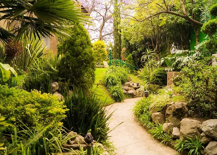 Apartment 2b, Vista, Garden House, Welcome To San Angel Mexico City