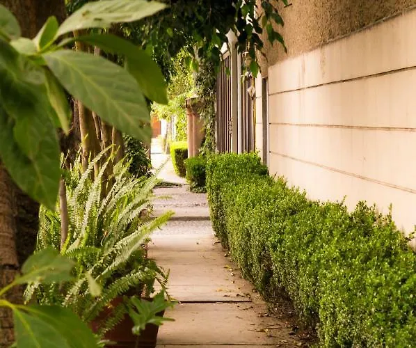 Apartment 2b, Vista, Garden House, Welcome To San Angel Mexico City